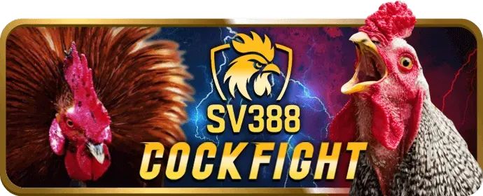 Sòng bạc trực tiếp 88ok